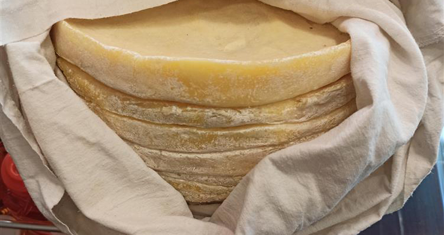 Rize’nin 14. Coğrafi İşaret Tescilli ürünü Çayeli Koloti Peyniri oldu